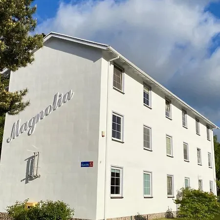 I Magnolia Dźwirzyno