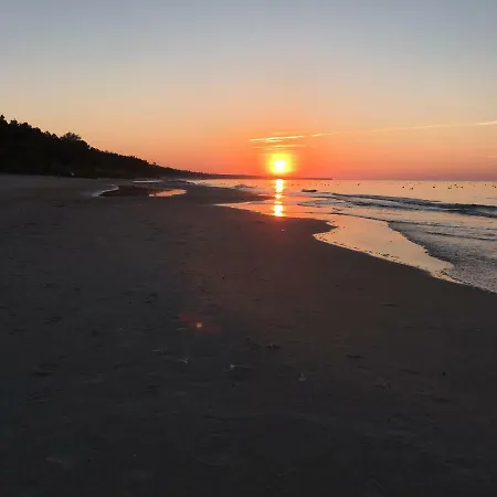 I Magnolia * Dźwirzyno