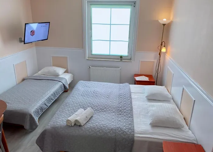 I Magnolia Dźwirzyno