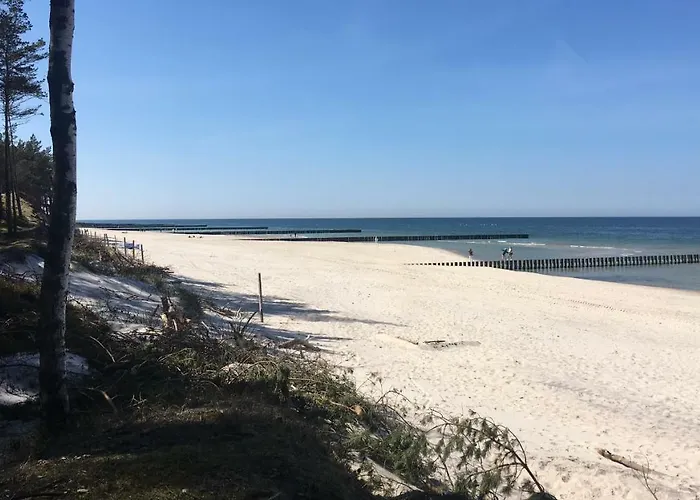 Apartamento I Magnolia