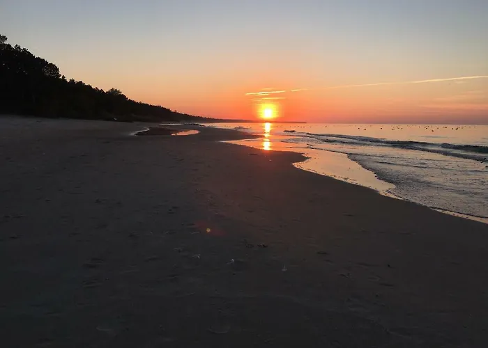 I Magnolia * Dźwirzyno