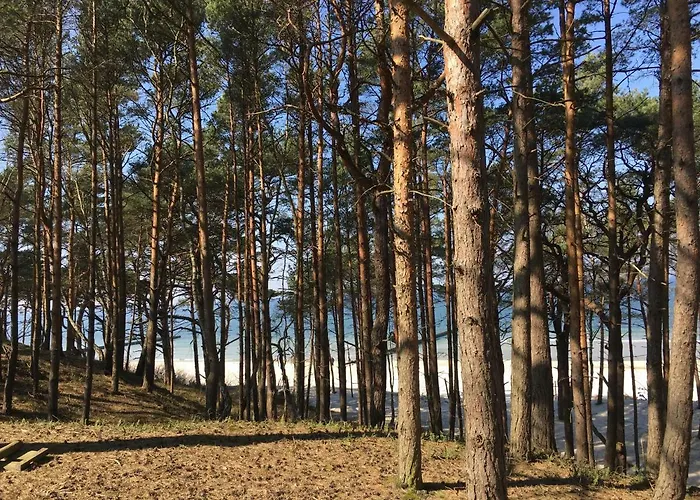 I Magnolia Apartamento *